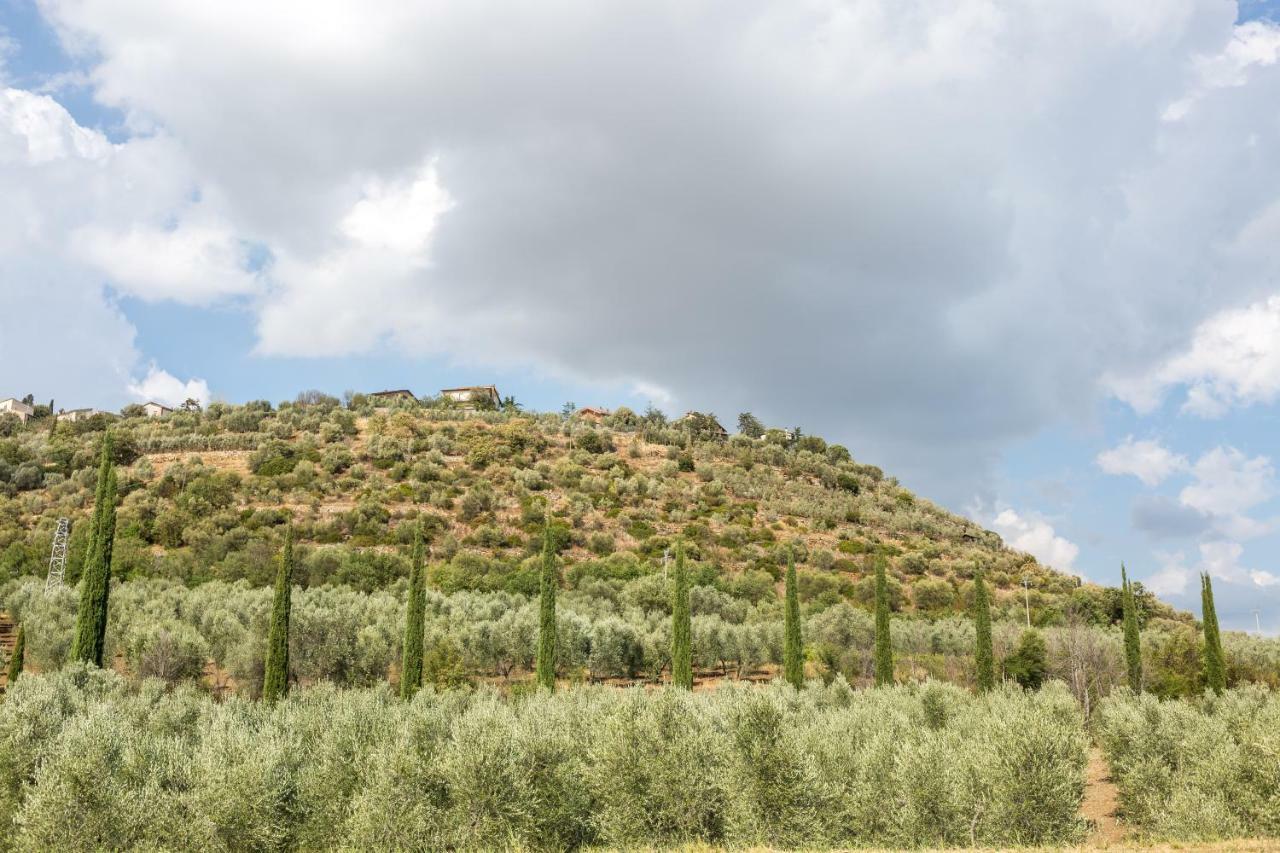 Little Val D'Orcia Appartement Montenero d'Orcia Buitenkant foto